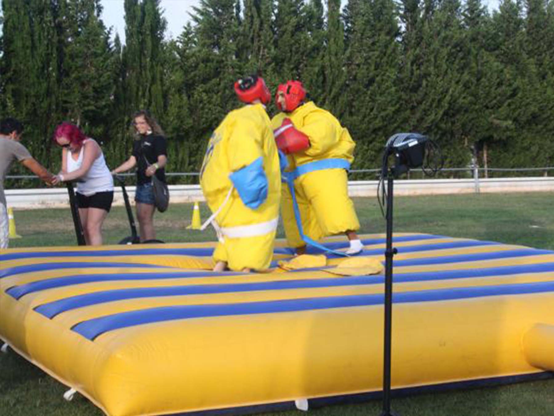 Lluita Sumo Foto 1